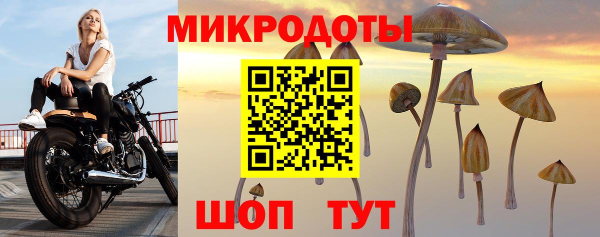 Галлюциногенные грибы GOLDEN TEACHER Луховицы